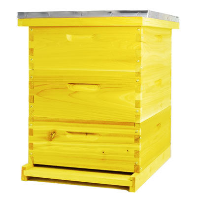 Langstroth Bee Hives