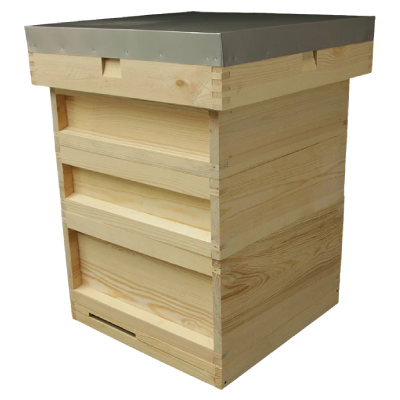 Hive